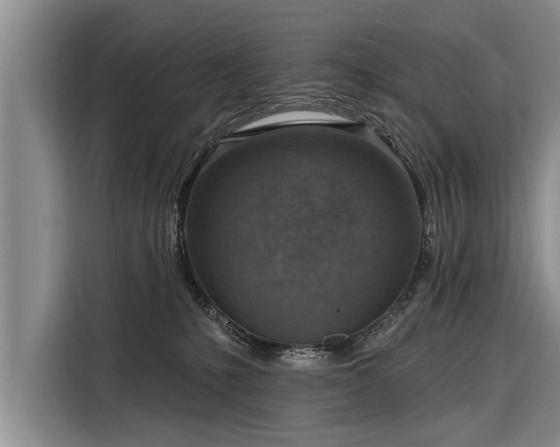 X0000116300231200912071255