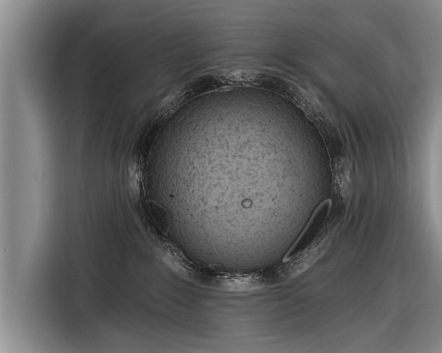 X0000116300235200912071255