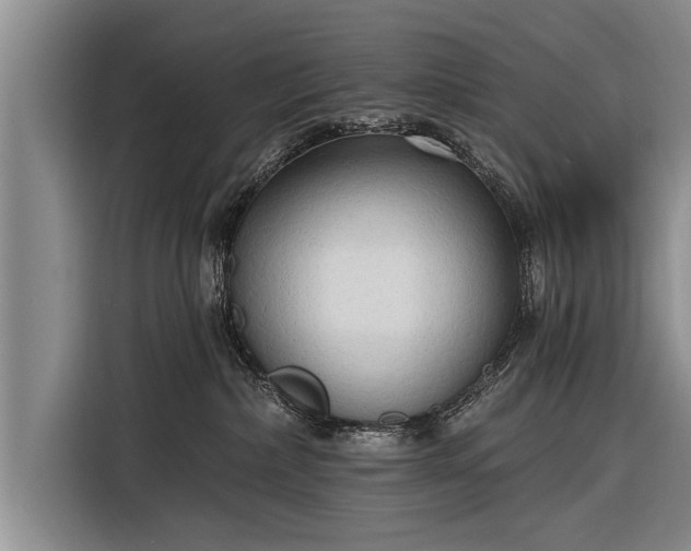 X0000116300236200912071255