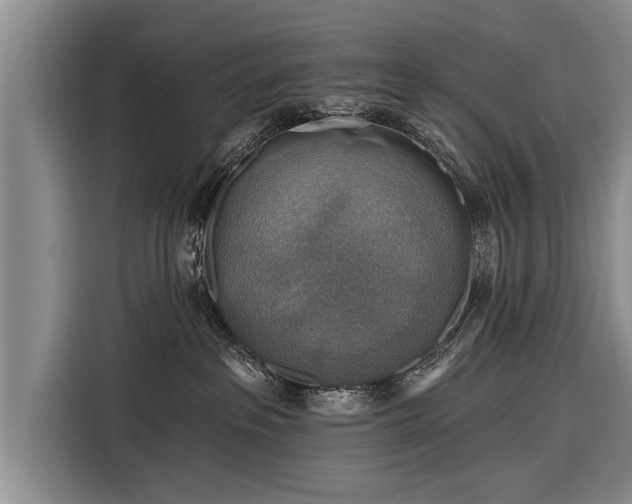 X0000116300237200912071255