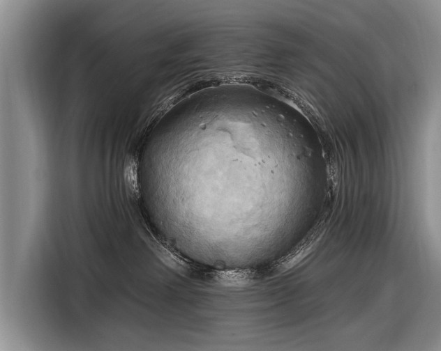 X0000116300238200912071255