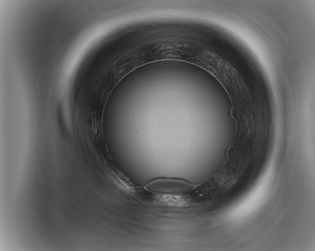 X0000116300239200912071255