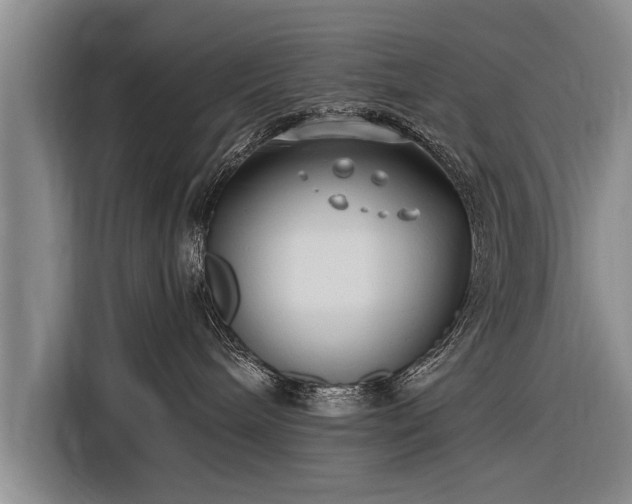 X0000116300240200912071255