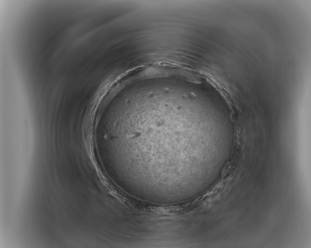 X0000116300241200912071254