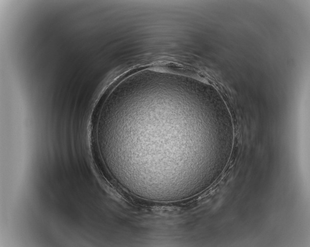 X0000116300242200912071254