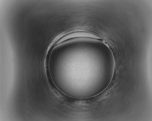 X0000116300244200912071254