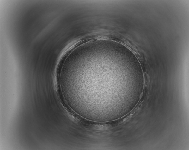 X0000116300245200912071254