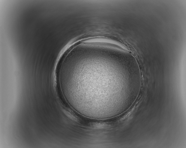 X0000116300246200912071254