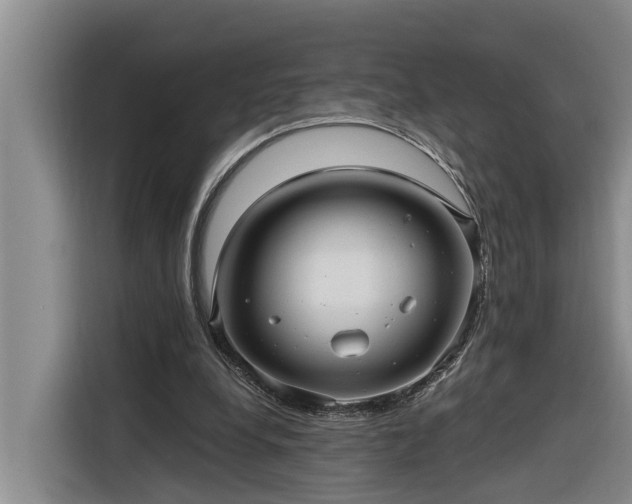 X0000116300248200912071254