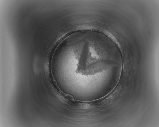 X0000116300249200912071254