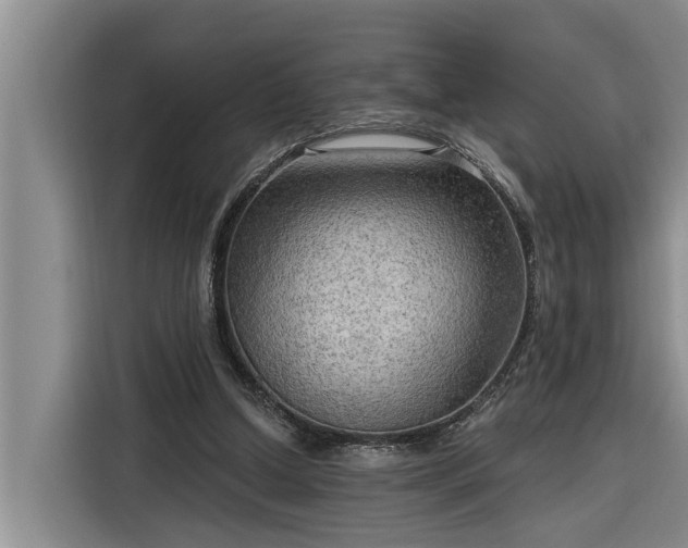 X0000116300250200912071254