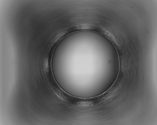 X0000116300251200912071254