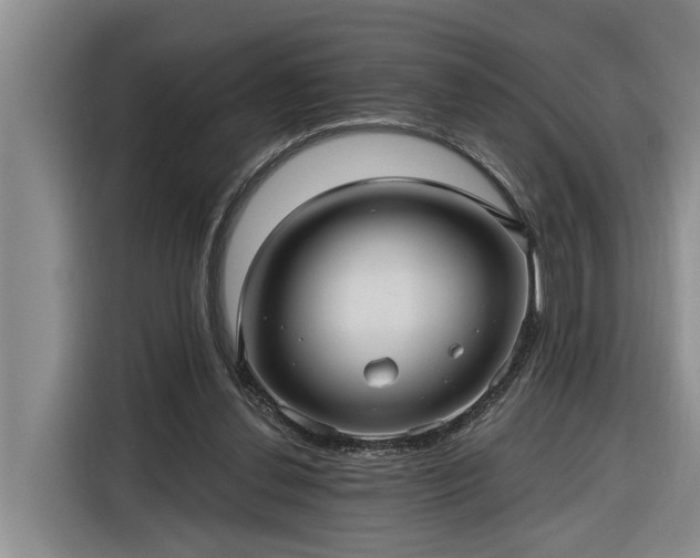 X0000116300252200912071254