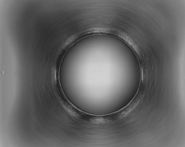 X0000116300253200912071254