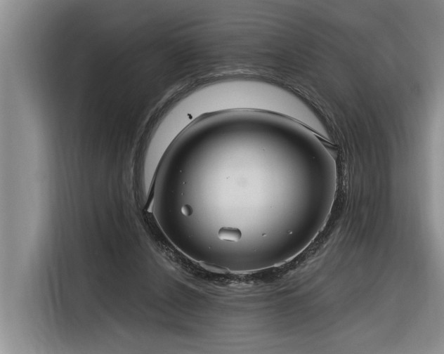 X0000116300256200912071254