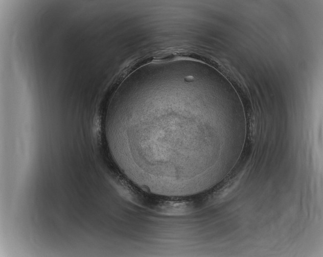 X0000116300260200912071254