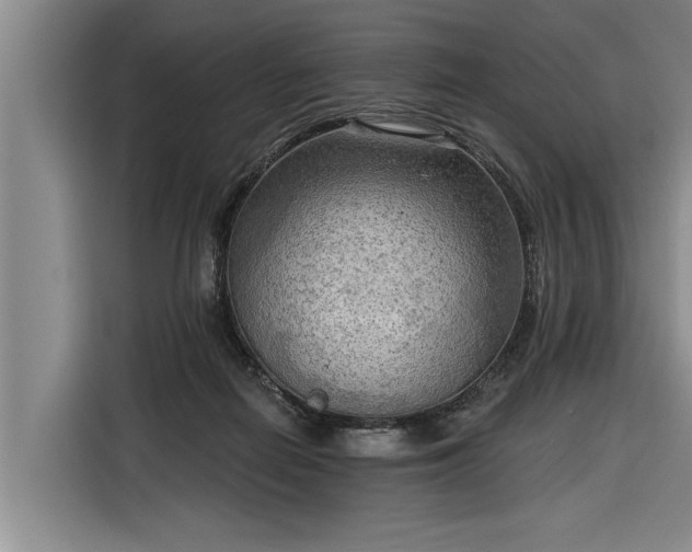 X0000116300266200912071254