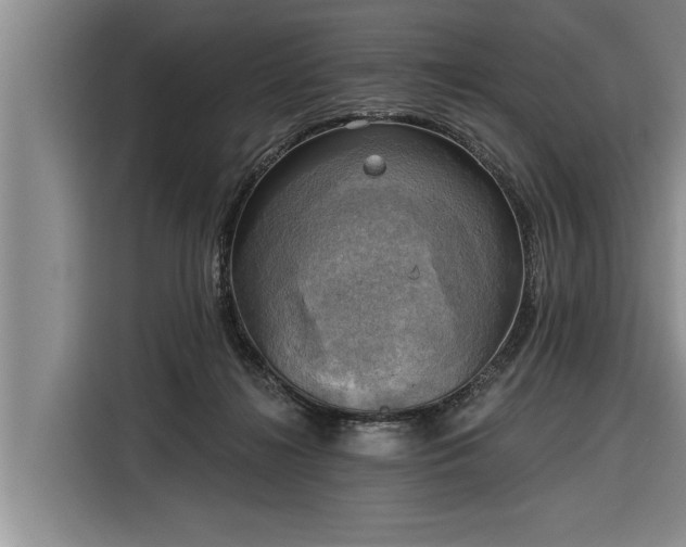 X0000116300268200912071254