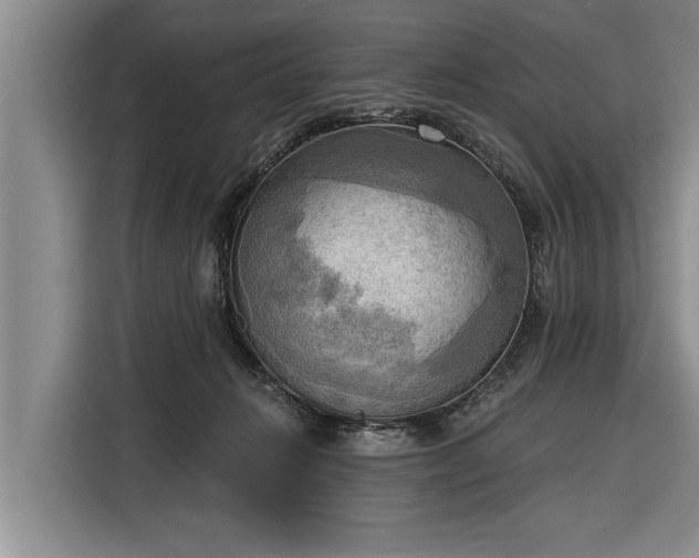 X0000116300270200912071254