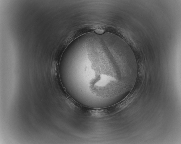 X0000116300273200912071254