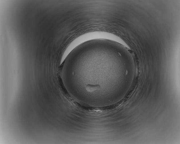 X0000116300276200912071254