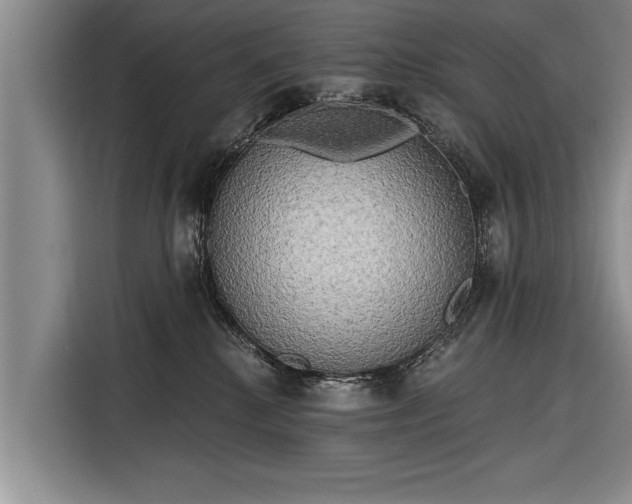 X0000116300280200912071254