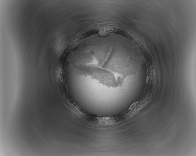 X0000116300281200912071254