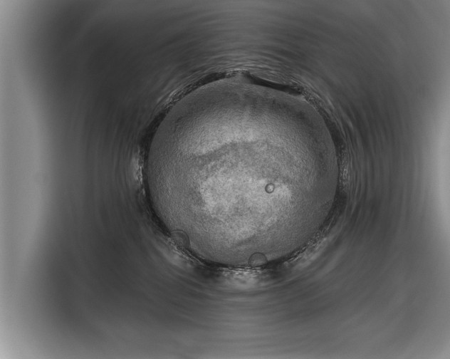 X0000116300282200912071254