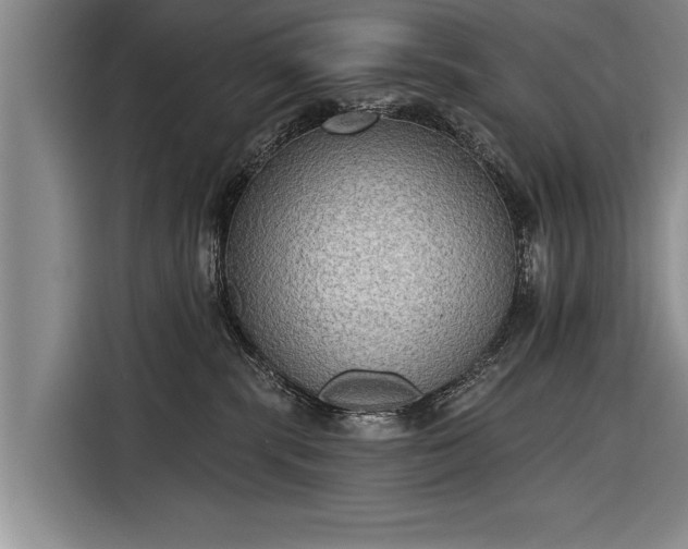 X0000116300283200912071254