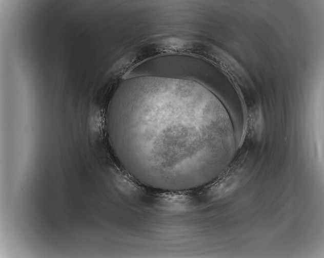 X0000116300284200912071254