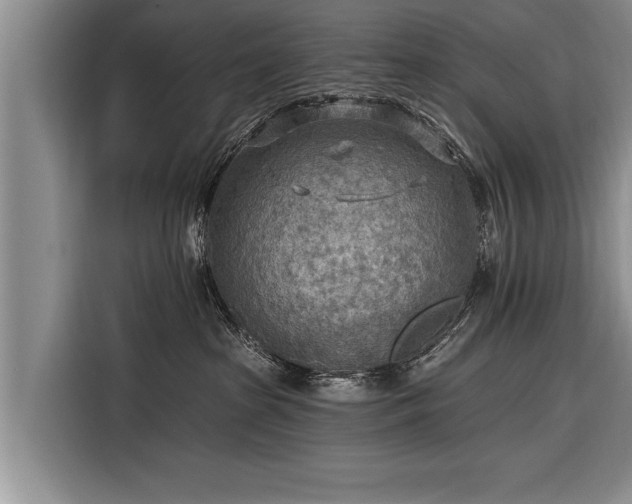 X0000116300285200912071254