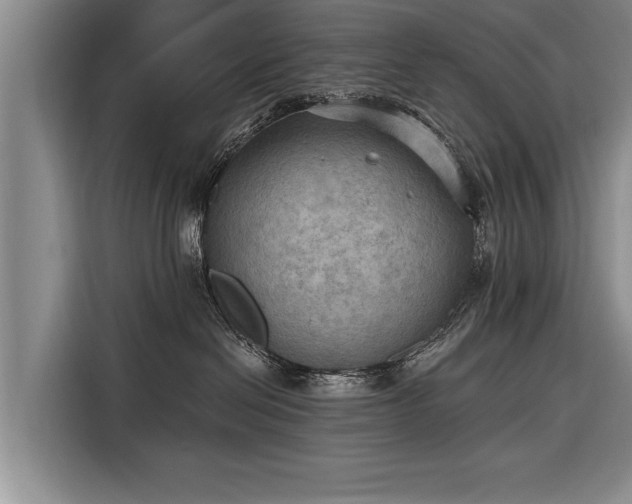 X0000116300286200912071254