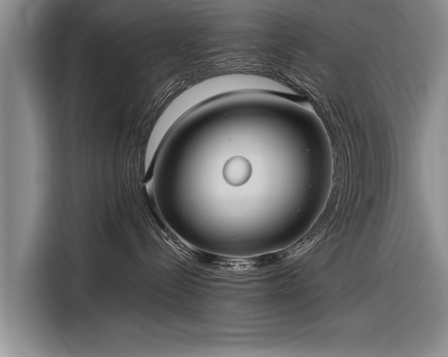 X0000116300288200912071254