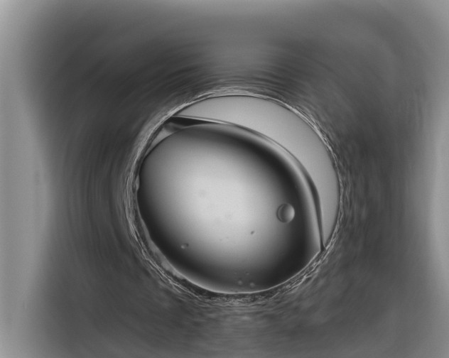 X0000116300289200912071254