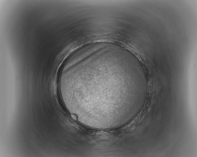 X0000116300290200912071254