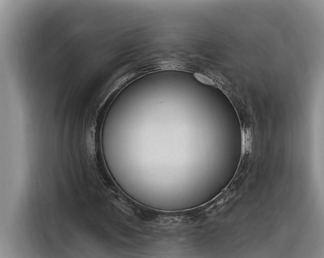 X0000116300291200912071254