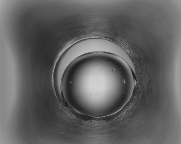 X0000116300292200912071254