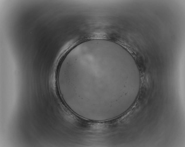 X0000116300293200912071254