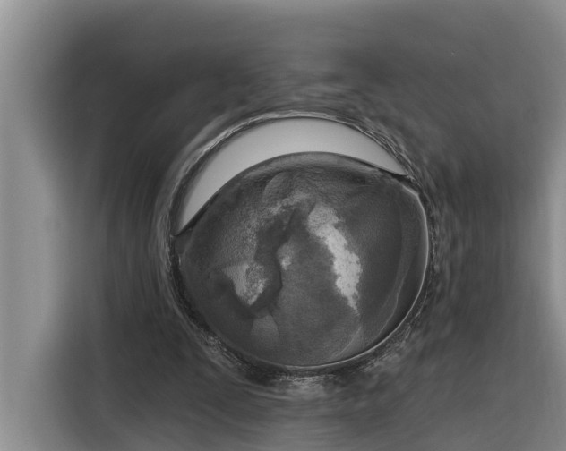 X0000116300295200912071254