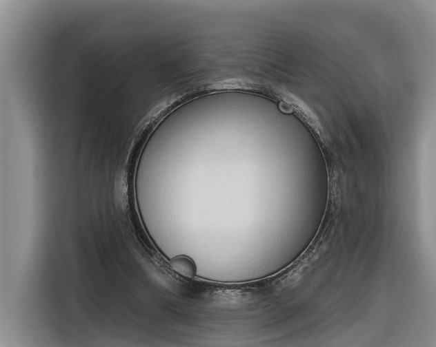 X0000116300298200912071254