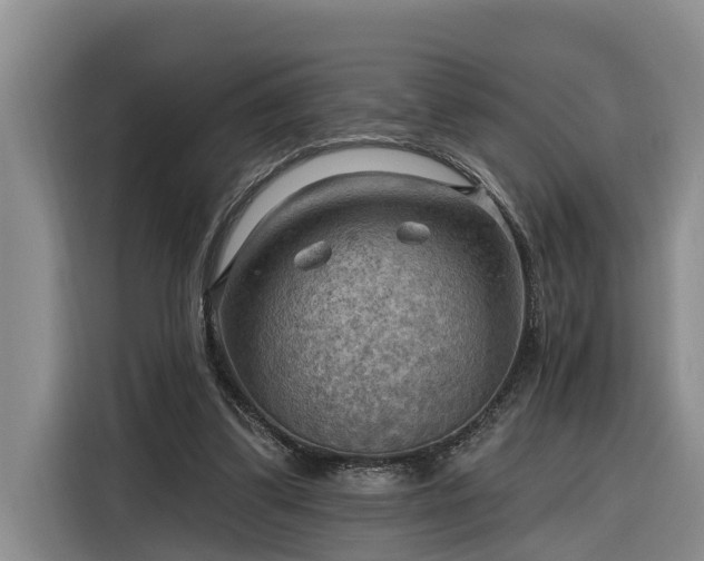 X0000116300299200912071254