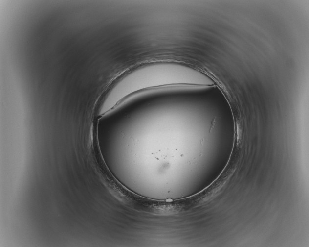 X0000116300301200912071254