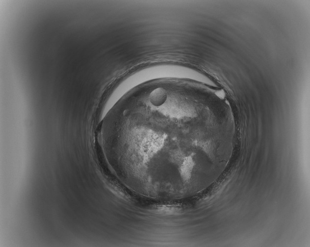 X0000116300303200912071254