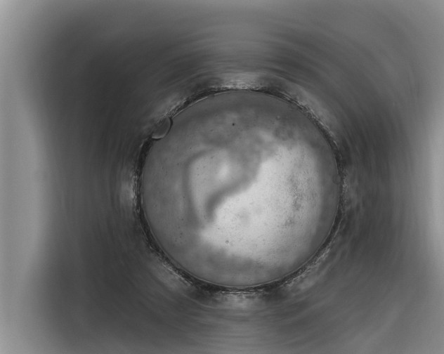 X0000116300305200912071254