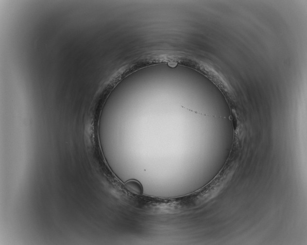 X0000116300306200912071254