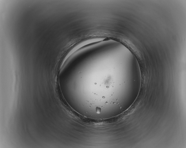 X0000116300309200912071254