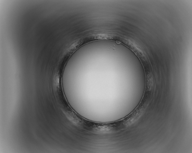 X0000116300310200912071254