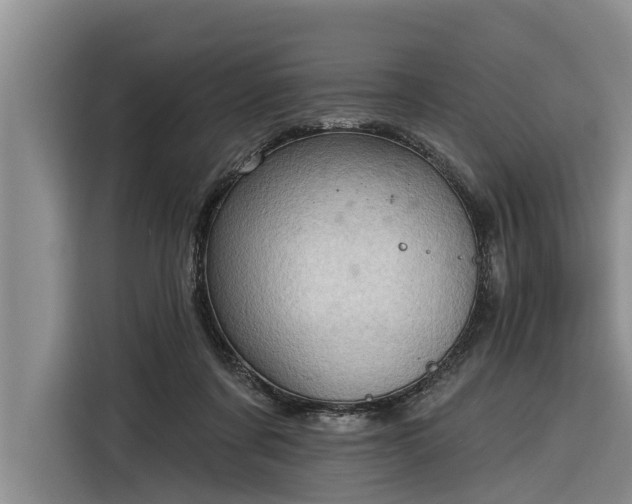 X0000116300311200912071254