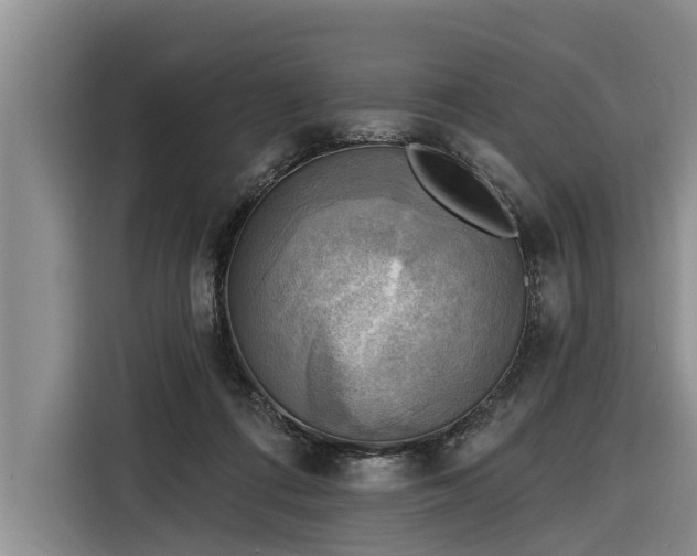 X0000116300312200912071254