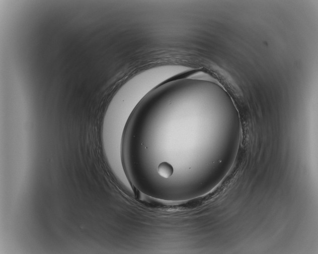 X0000116300313200912071254